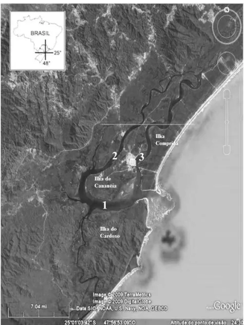 Figura 1. Complexo Estuarino-Lagunar de Cananéia, São Paulo,  Brasil.  (1)  Baía  de  Trapandé;  (2)  Mar  de  Cubatão;  (3)  Mar  de  Cananéia