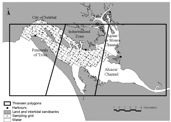 Figure 3.3 – Sado Estuary sediment sampling design within digitized boundary of the estuary
