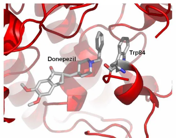 Figura 11. Interação donepezil/Trp84. Interação do grupo benzílico da molécula de donepezil com o  grupo indol do aminoácido Trp84