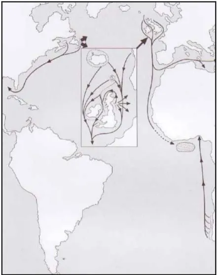 Figura  1.4  –  Rotas  gerais  de  migração  de  juvenis  de  Alcatraz,  com  especial  destaque  para  Norte  da  Europa