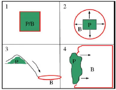 Figura  3.3  -  Possíveis  combinações  da  distribuição  geográfica  da  produção  (P)  e  usufruto  de  benefícios  (B)  (Fisher, Turner e Morling 2009) 1) In situ; 2) Omni-Direccional; 3 e 4) Direccional 