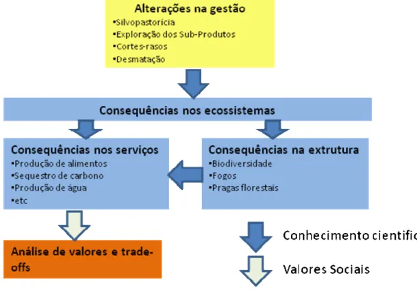 Figura  5.17 –  Processo  de  valoração  das  alternativas  de  uso  do  solo  e  de  gestão  (adaptado  de  deFries  et  al,  2004) 