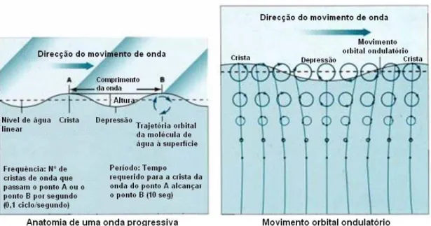 Fig. 3.7: Esquema que traduz o movimento das moléculas de água, que origina a ondulação periódica