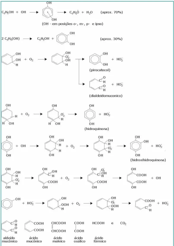 FIGURA 7 – Esquema de reações primárias da degradação do fenol (Getoff, 1996). 