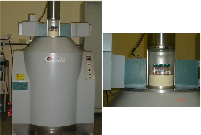 FIGURA  13  –  Irradiador  Gama  de  Cobalto-60,  tipo  “Gammacell”  com  as  amostras  no  compartimento de irradiação