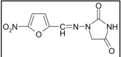 Figura 14: Compostos 2-nitro-tiofeno 5-substituídos (Delmas, F., et al., 1993).