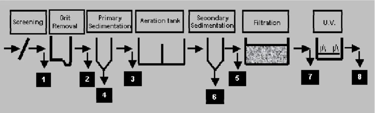 Figure 1: Diagram of the WWTP treatment steps and sampling points 