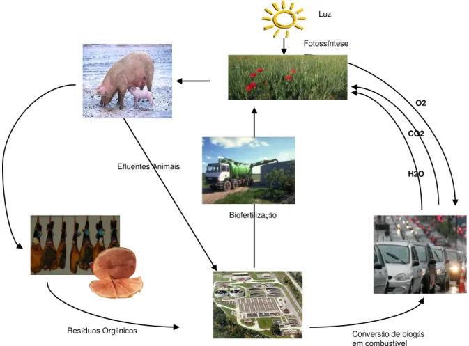 Figura 1 -  Ciclo de Reciclagem de Resíduos  (Adaptado de: European Biogas Workshop  and Study Trip The Future of Biogás in Europe, 2007) 