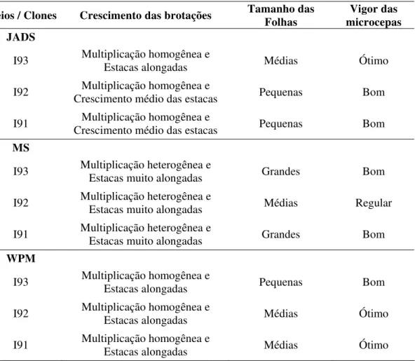 Tabela 4 - Parâmetros qualitativos do comportamento das microcepas de Eucalyptus citriodora em  relação ao meio de cultura e o clone 