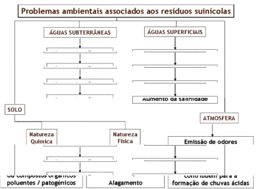 Figura 9 – Esquematização dos principais problemas associados à má gestão de resíduos de suiniculturas  (Adaptado de: Isabel Araújo e Susana Ferreira, Instituto Superior Técnico, 2004) 