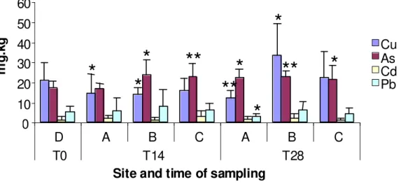Fig. 8 - Bioaccumulation of Cu, As, Cd and Pb after 14 and 28 days of exposure to all  sediments