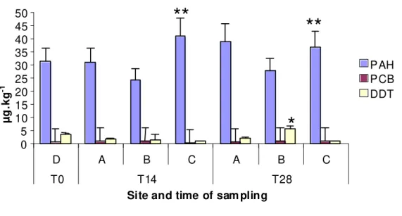 Fig. 10 - Bioaccumulation of organic contaminants after 14 and 28 days of exposure to all  sediments