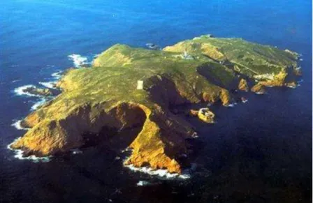 Fig. 2  –  Ilha da Berlenga  –  vista aérea 