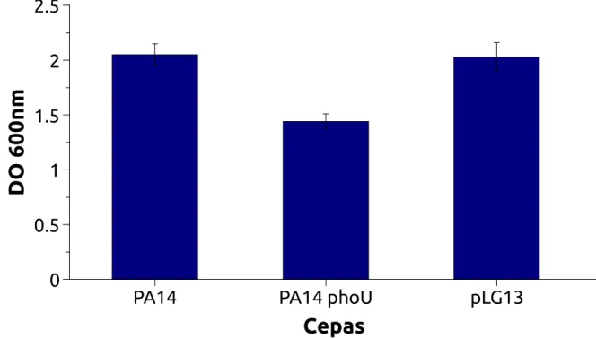 Figura 8 – Rendimento das bactérias em meio TGP4. As bactérias foram cultivadas durante 16 horas a 37 °C em meio TGP4 e em seguida a DO 600 foi medida