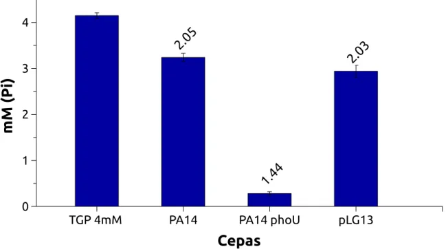 Figura 10 – Determinação de Pi remanescente no meio TGP4. As bactérias foram cultivadas durante 16 horas e o fosfato remanescente foi medido pelo método de microdeterminação de Pi (49)