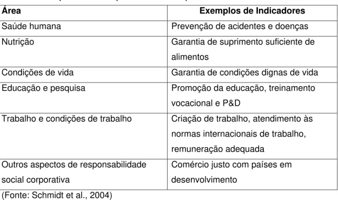 Tabela 4 – Tipos de capital que uma sociedade pode usufruir e exemplos de indicadores