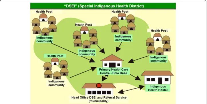 Fig. 1 Structure of the DSEI and its health care model
