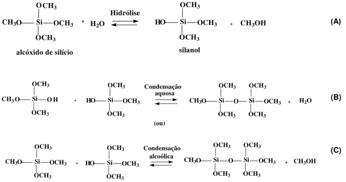 Figura 12. Reações de hidrólise do alcóxido de silício (A) de condensação aquosa (B)  e condensação alcoólica (C) pelo PSG