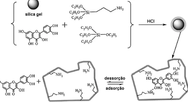 Figura  15.  Preparação  da  sílica  impressa molecularmente  para quercetina  por  PSG  (adaptado de Yan et al