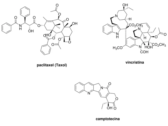 Figura 2. Metabólitos anticancerígenos de plantas hospedeiras encontrados nas  culturas de fungos endofíticos