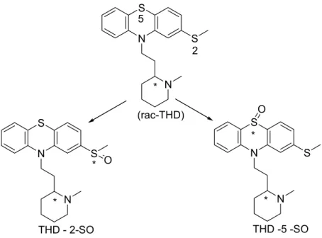 Figura 6. Biotransformação oxidativa do fármaco neuroléptico tioridazina (THD) 