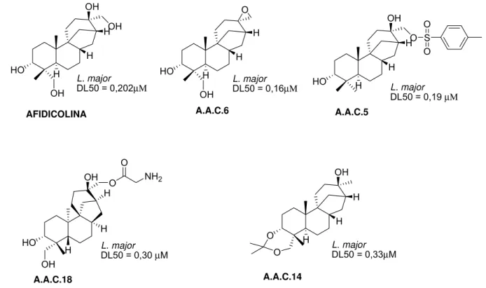 Figura 9. Compostos derivados semi-sintéticos da afidicolina e suas respectivas  atividades leishmanicidas frente a L