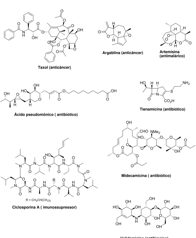 Figura 1. Alguns produtos naturais aprovados como fármacos (1970-2006). 