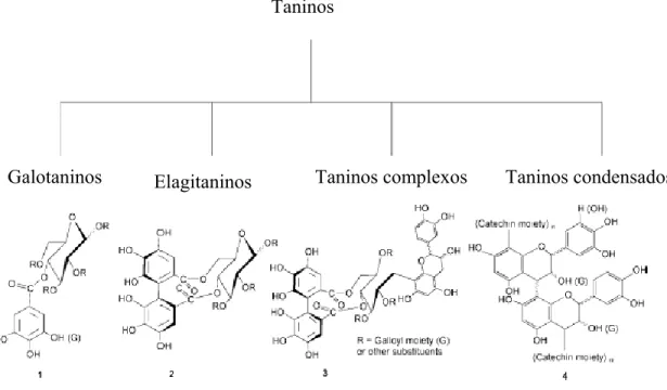 Figura 5: Classificação dos taninos. Fonte: Khanbabaee &amp; Van Ree, 2001. 