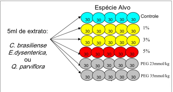 Figura  1.  Delineamento  experimental  para  os  ensaios  de  germinação.Cada  seqüência de círculos coloridos representa um dos tratamentos (Controle com  água;  extratos 1,  3  e  5%;  e  soluções  de  PEG  6000  em  duas  concentrações. 