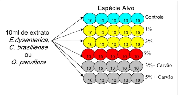 Figura  2.  Delineamento  experimental  para  os  ensaios  de  crescimento.  Cada  seqüência de círculos coloridos representa um dos tratamentos (Controle  com água; extratos 1, 3 e 5%; e extratos a 3 e 5% com adição de carvão  ativado)