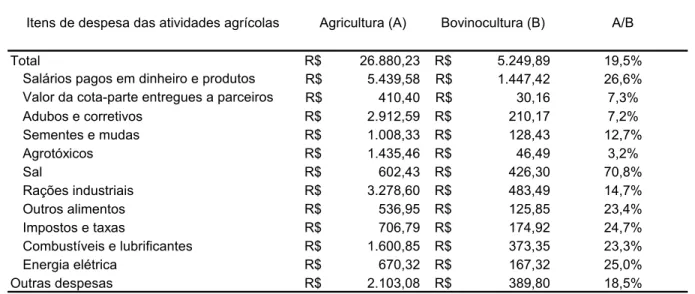 Tabela 1 – Despesas da agricultura e da pecuária bovina entre 01 de agosto de 1995 e 31 de julho  de 1996 – em milhões de R$ 