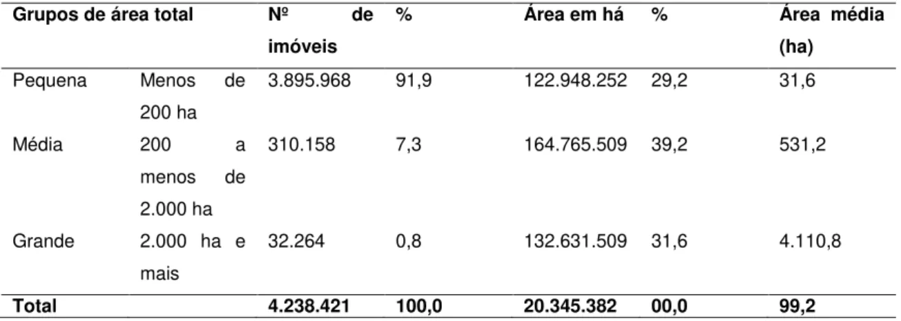 Tabela 1  –  Síntese da Estrutura Fundiária, 2003. 