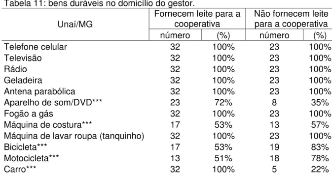 Tabela 11: bens duráveis no domicílio do gestor. 