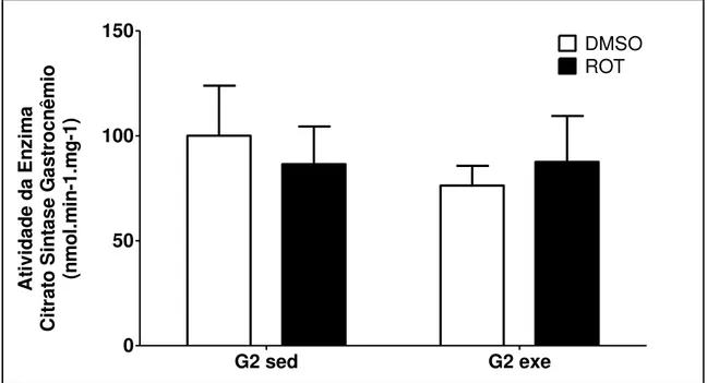 FIGURA 15  – Atividade da enzima citrato-sintase no músculo gastrocnêmio de  ratos  idosos  submetidos  a  exposição  à  rotenona  (ROT)  ou  seu  solvente  (DMSO)  e  ao  protocolo  de  exercício  físico  forçado,  de  intensidade  moderada,  iniciado  an