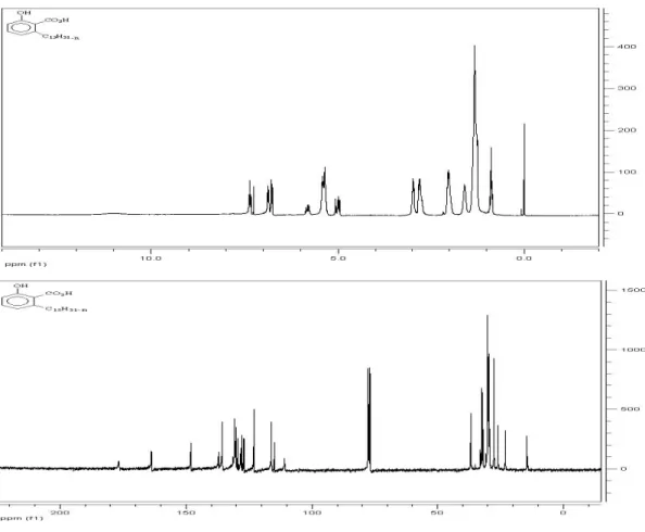 FIGURA 19. Espectros de RMN  1 H e  13 C dos ácidos anacárdicos (15 i-m). 