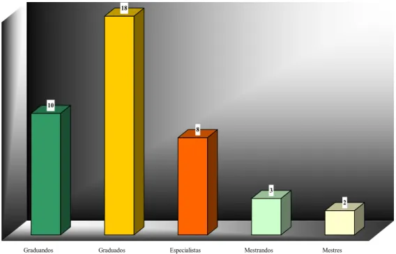 Gráfico 2 – Nível de formação 