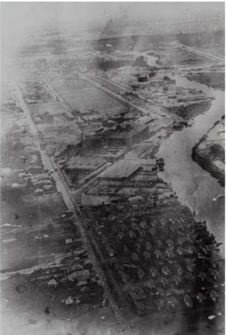 Figura 8 – Fotografia aérea do Frigosul e vila anexa à empresa, década de 1950 