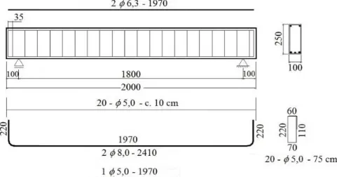 Figura 2.41 - Detalhe das dimensões e armadura das vigas em mm (Sallaberry, 2005) 