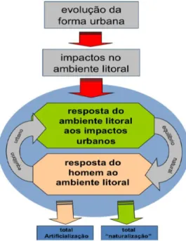 Figura 1.1 - Fenómeno Cíclico entre os processos de artificialização e o ambiente do litoral (Fonte: 