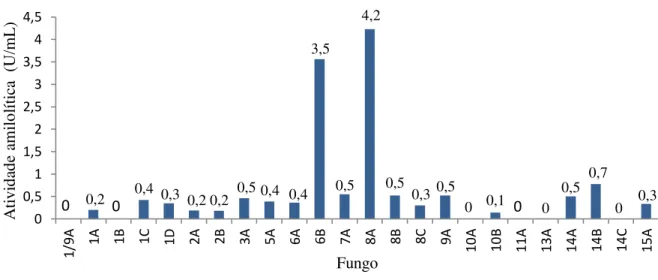 Tabela 7. Atividade enzimática do extrato bruto fermentativo dos fungos isolados  Fungo  Atividade amilolítica extracelular 