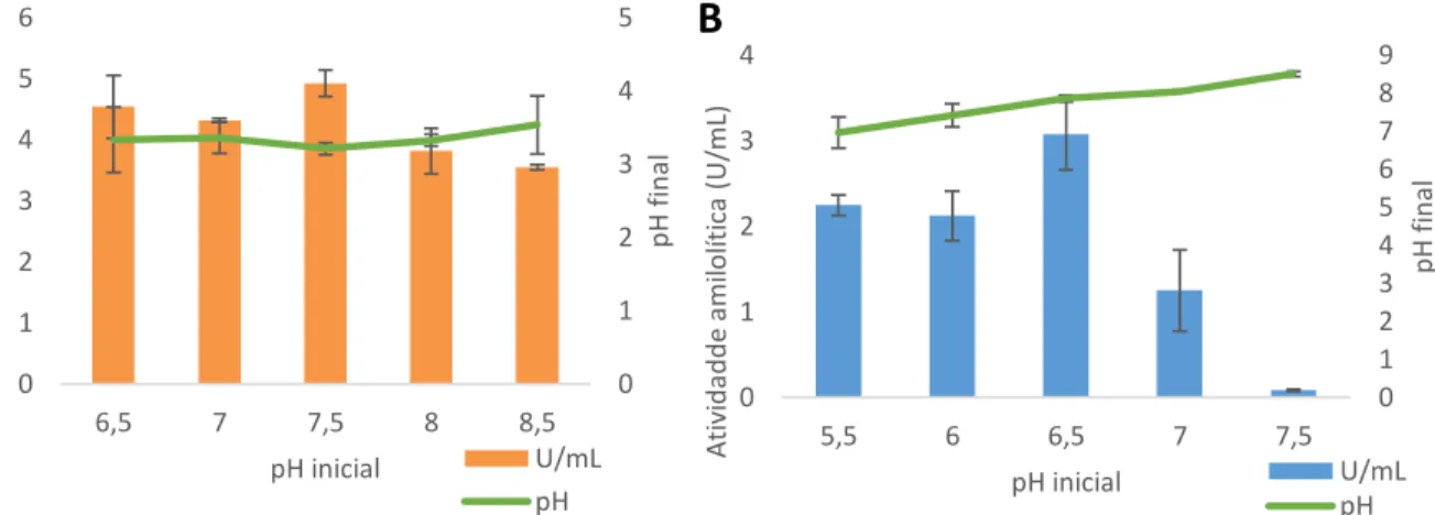 Figura 17. Efeito do pH inicial do cultivo de A. brasiliensis (A) e R. oryzae (B) na secreção de  amilases extracelulares e seu efeito no pH final 