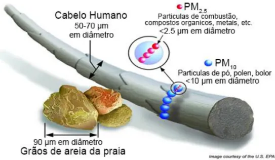 Figura 2.6 - Comparação entre as dimensões de partículas em suspensão PM 10  e PM 2,5  (adaptado de EPA,  2018) 