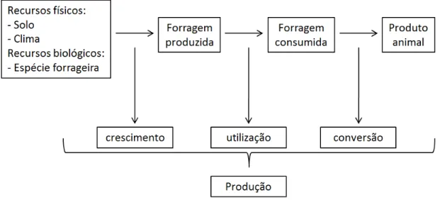Figura 2 – Representação esquemática do processo de produção animal a  pasto (adaptado de HODGSON, 1990) 