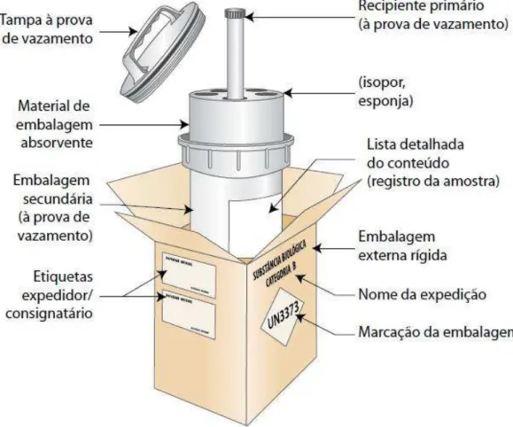 Figura  8  -  Modelo  de  embalagem  para  transporte  de  amostras  altamente  contaminante e algumas amostras de vírus 