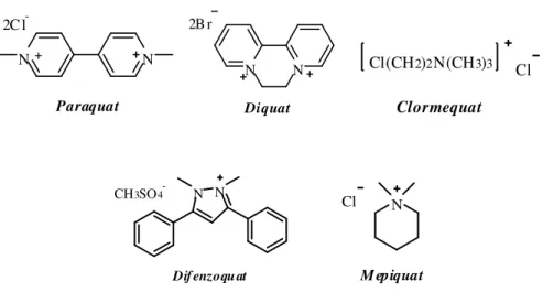 Figura 1. Estrutura química dos principais herbicidas bipiridílicos. 