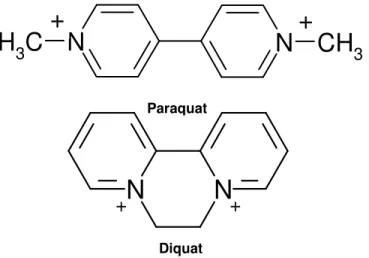 Figura 4. Estrutura química do paraquat e diquat. 