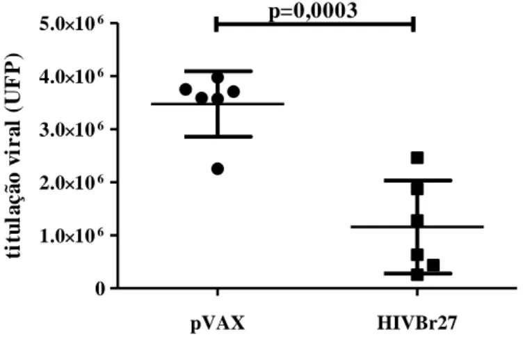 Figura  5.  A  imunização  com  HIVBr27  protege  parcialmente  contra  desafio  com  vírus  Vaccinia  recombinante  codificando  Gag  e  Pol  do  HIV-1