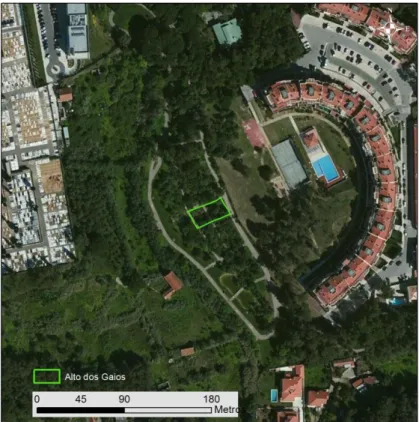 Figura 5.1 Localização da Horta Comunitária Cascais  –  Alto dos Gaios (BingMaps, 2012)