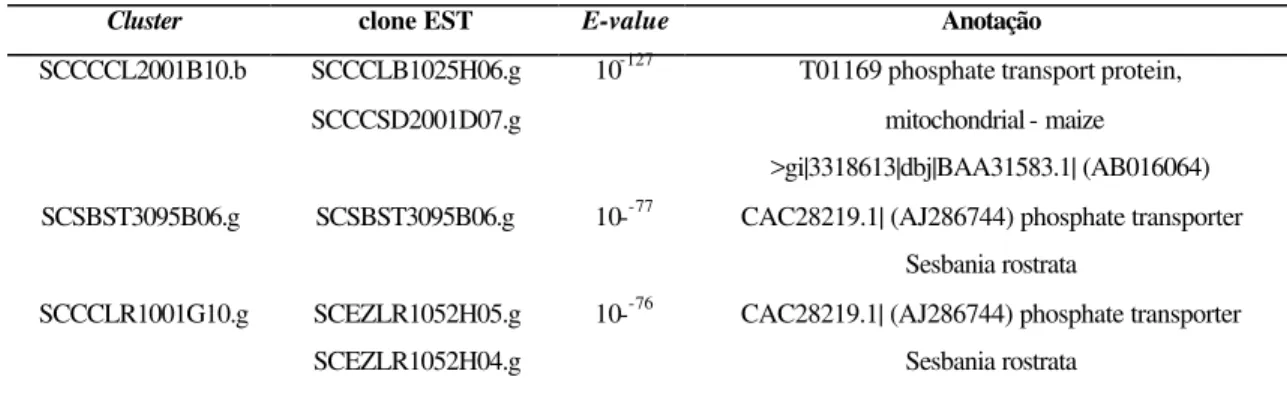 Tabela 4. Listas dos clones EST seqüenciados não pertencentes ao  cluster SCEQRT1028B07.g 