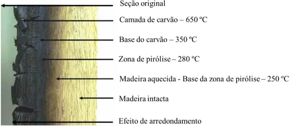Figura 13. Comportamento de uma peça de madeira submetida a altas temperaturas Adaptado de  PINTO e CALIL JUNIOR (2006); FIGUEROA e MORAES (2009)